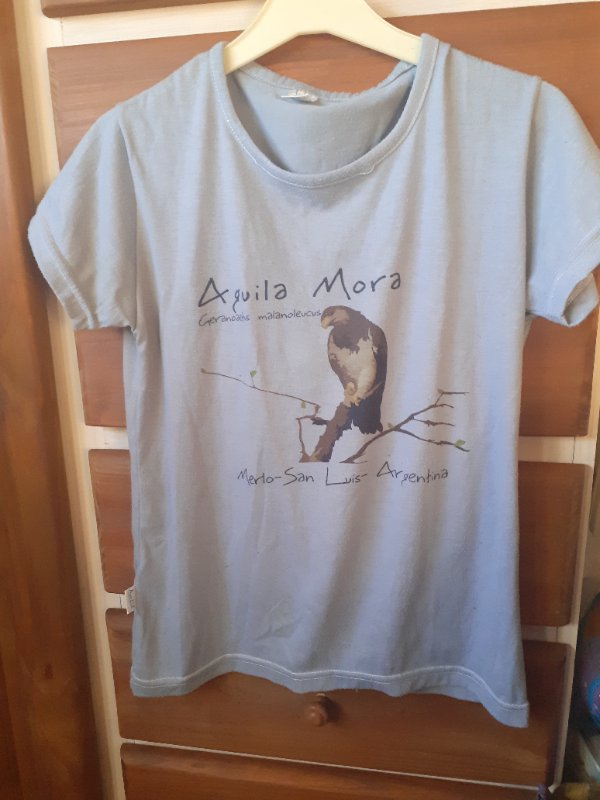 Remera Águila talle 12 -14