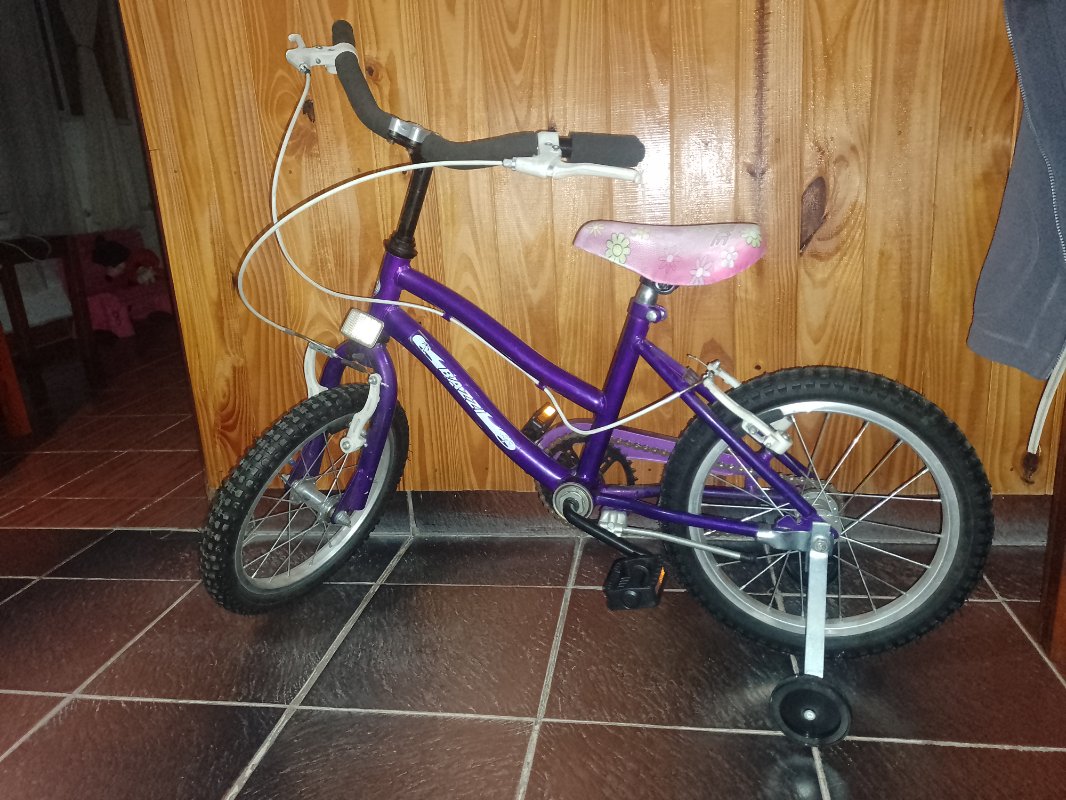 Bicicleta de nena