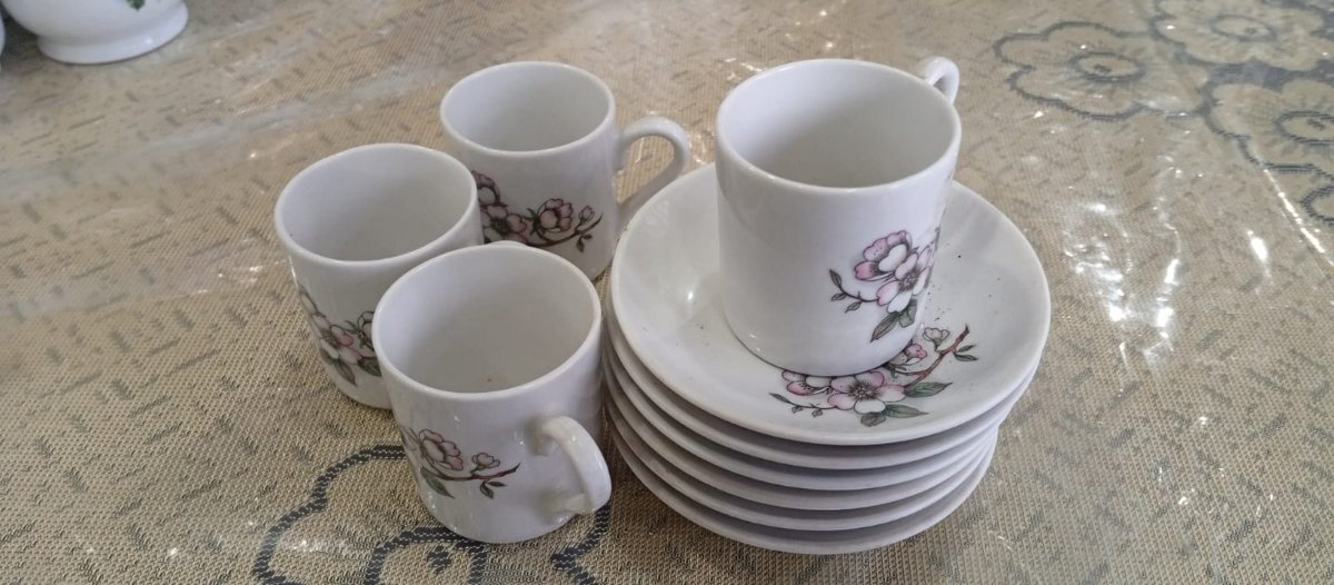🌹☕ HERMOSO JUEGO DE CAFÉ DE PORCELANA CHINA – 10 PIEZAS ☕🌹