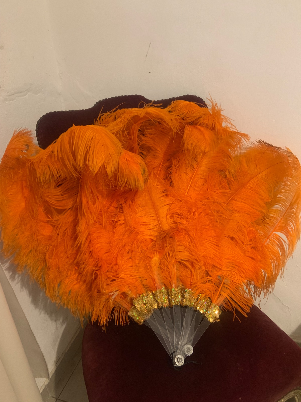 Abanico de Plumas