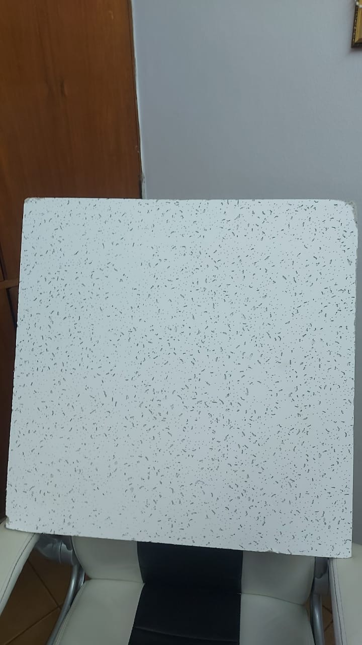 Placas para techos