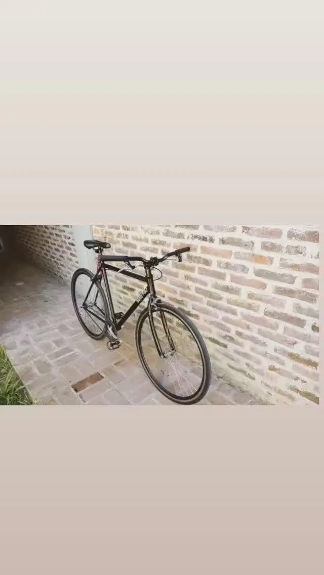 Bicicleta Fixie