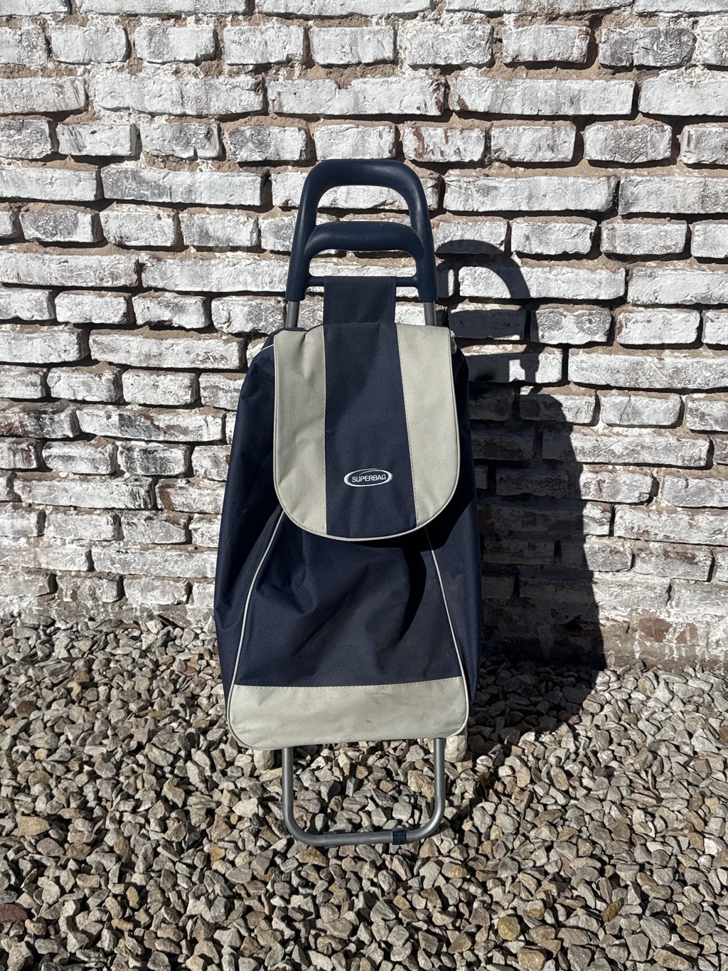 Carrito de compras con bolsa